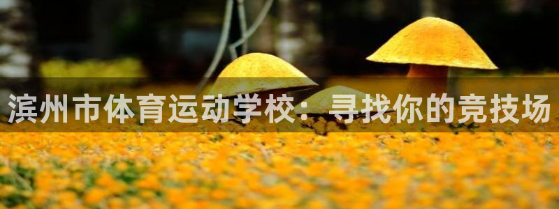 MK体育官网下载招商电话号码查询:滨州市体育运动学校:寻找你