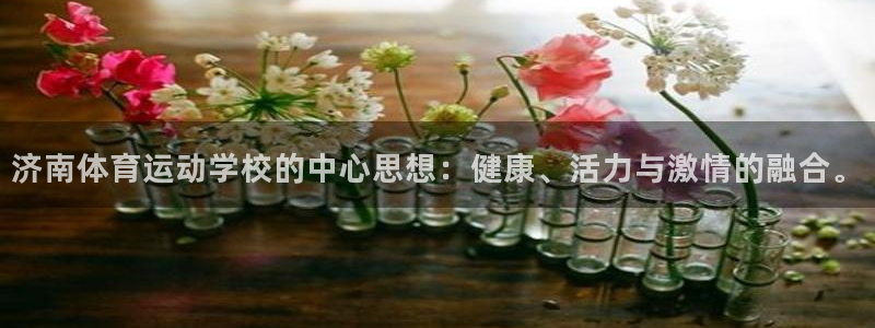 MK体育官网下载平台注册流程图:济南体育运动学校的中心思想: